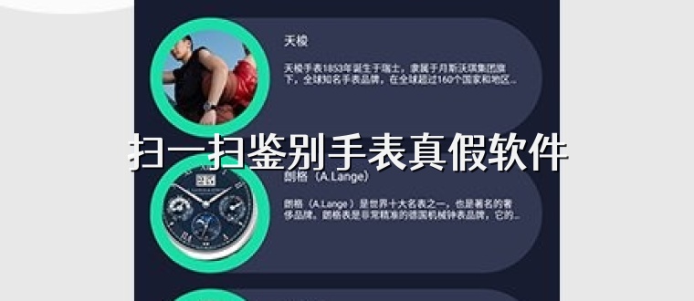 扫一扫鉴别手表真假软件