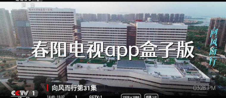春阳电视app盒子版