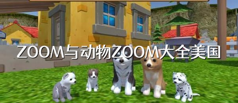 ZOOM与动物ZOOM大全美国