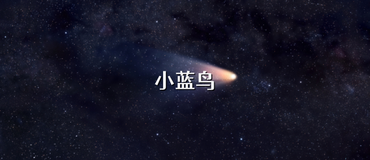 小蓝鸟