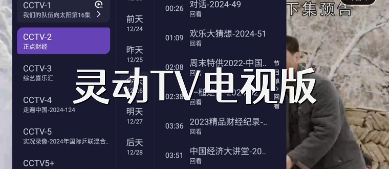 灵动TV电视版