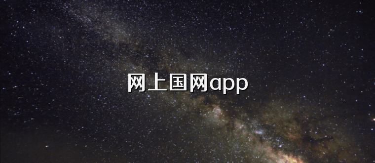 网上国网app