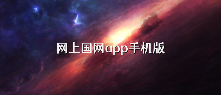 网上国网app手机版