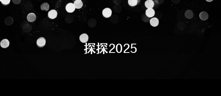 探探2025