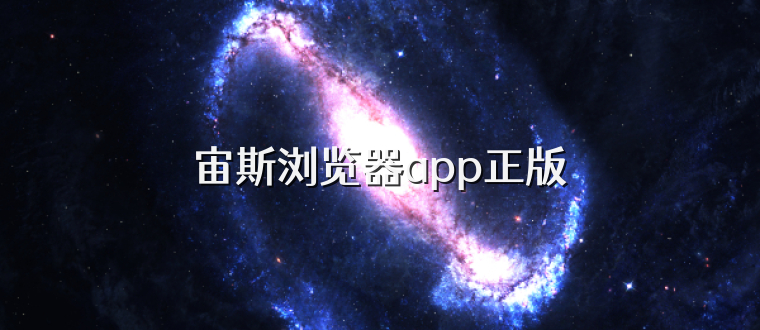 宙斯浏览器app正版