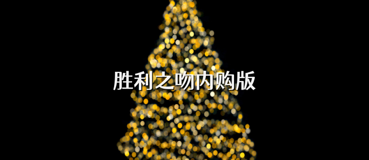 胜利之吻内购版