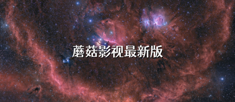 蘑菇影视最新版