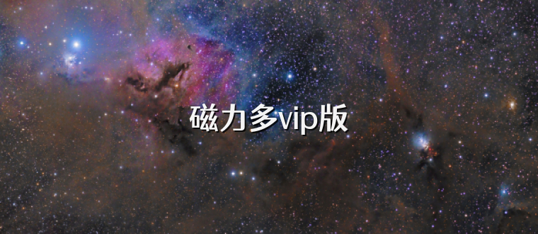 磁力多vip版