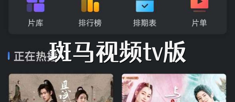 斑马视频tv版
