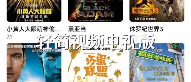 轻简视频电视版