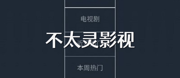 不太灵影视