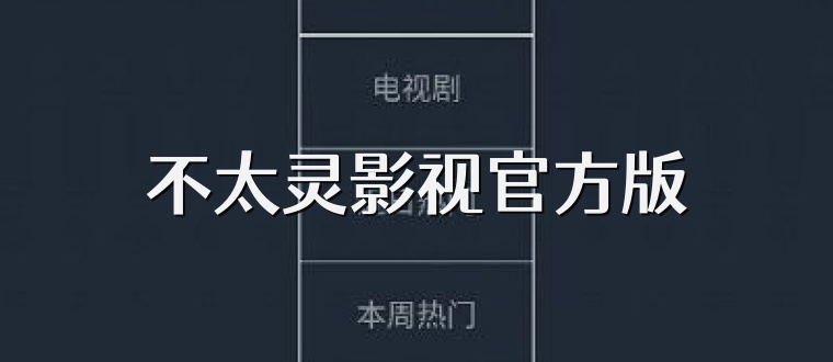 不太灵影视官方版