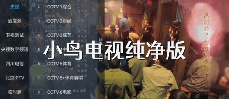 小鸟电视纯净版