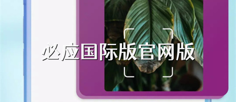 必应国际版官网版