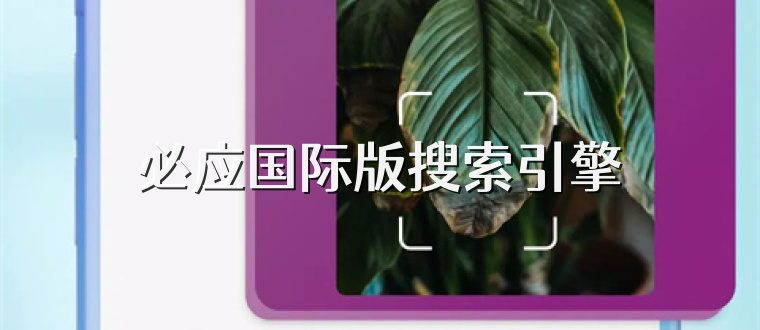必应国际版搜索引擎