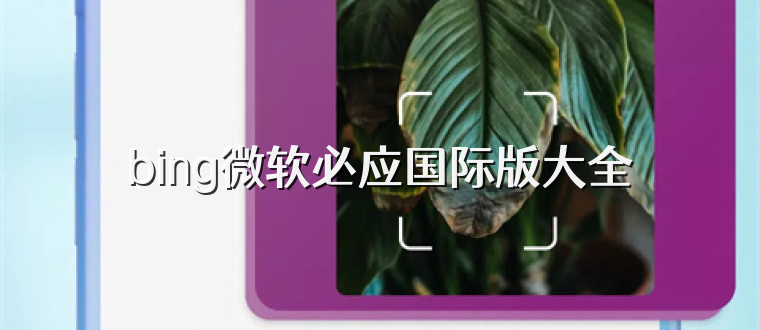 bing微软必应国际版大全