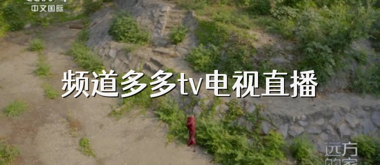 频道多多tv电视直播