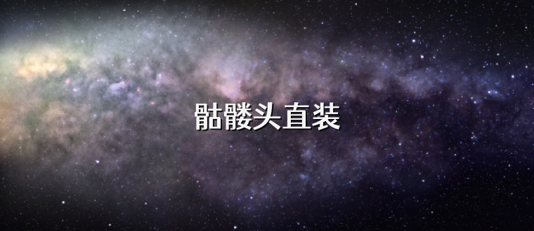 骷髅头直装