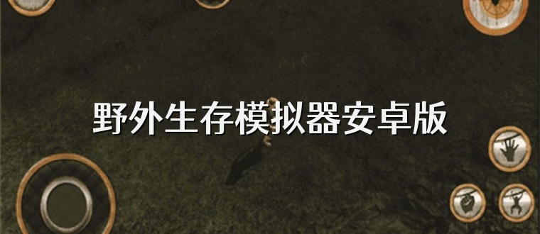野外生存模拟器安卓版