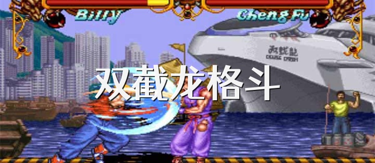 双截龙格斗