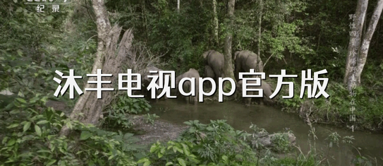 沐丰电视app官方版