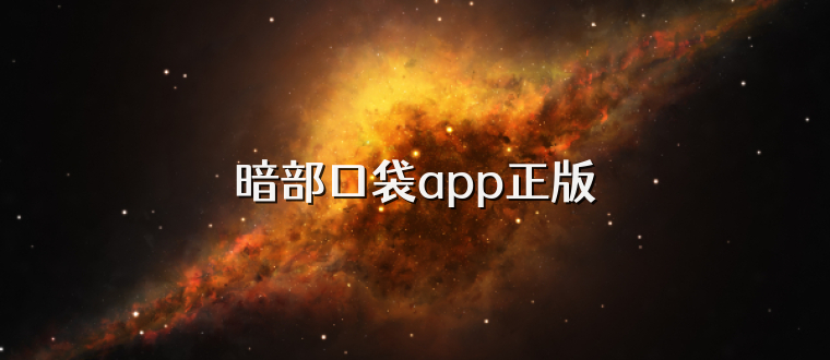 暗部口袋app正版