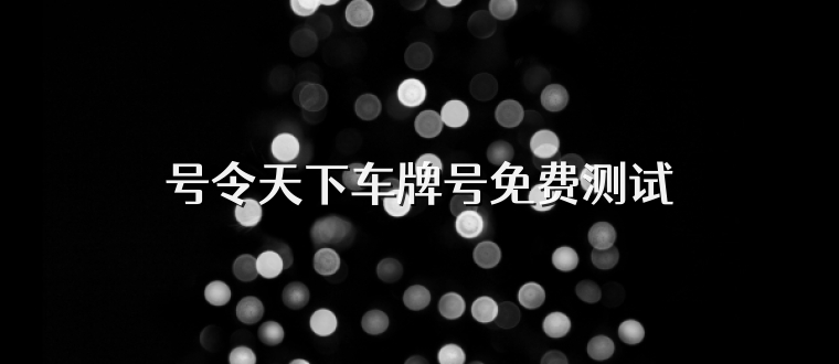 号令天下车牌号免费测试