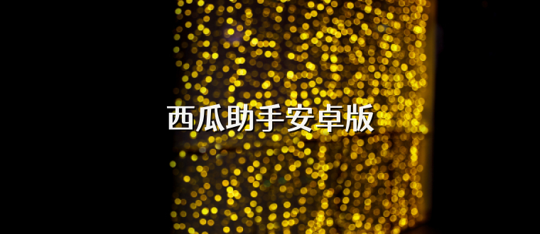 西瓜助手安卓版