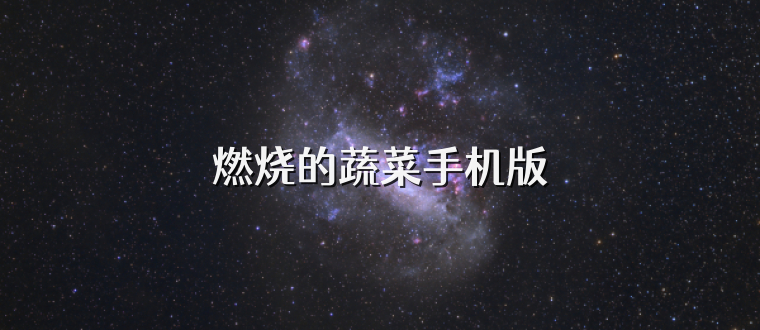 燃烧的蔬菜手机版