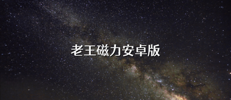 老王磁力安卓版