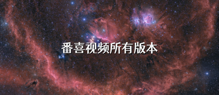 番喜视频所有版本