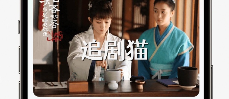 追剧猫