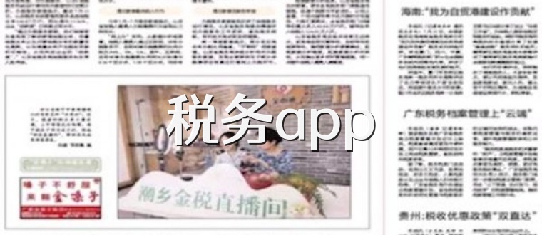 税务app