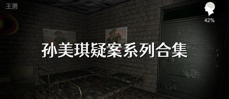 孙美琪疑案系列合集