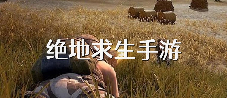 绝地求生手游