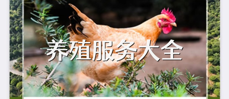 养殖服务大全