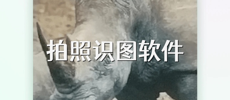 拍照识图软件