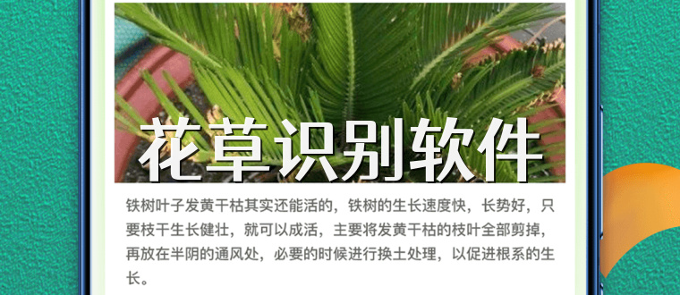 花草识别软件