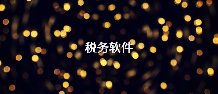 税务软件
