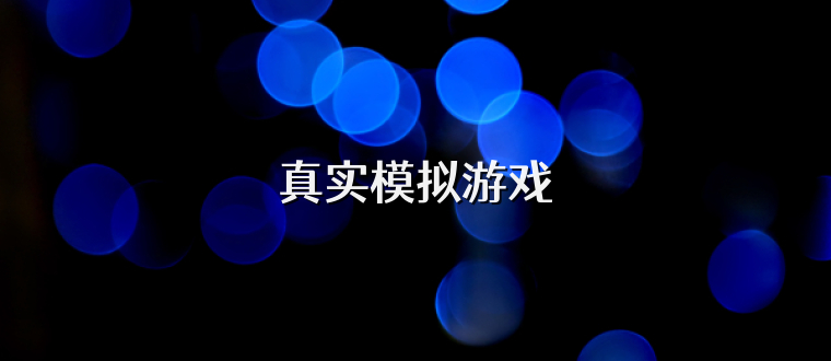 真实模拟游戏