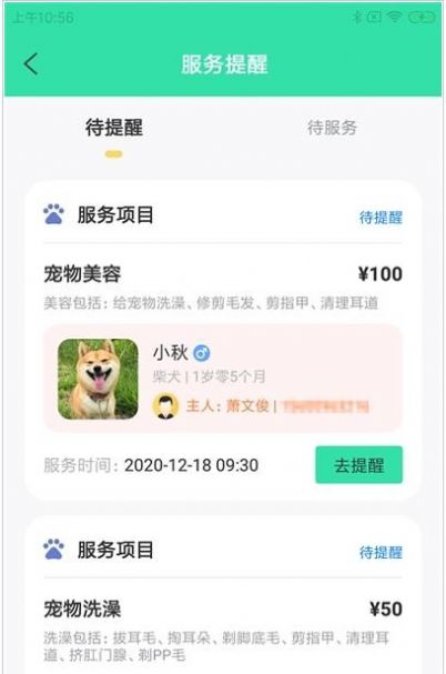 奇飞宠掌馆 1
