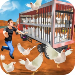 公鸡养殖场游戏