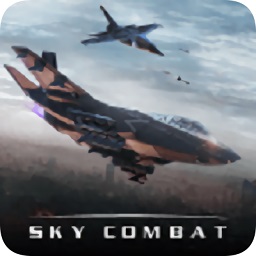  空战sky combat游戏