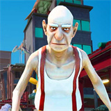 我功夫贼棒游戏