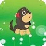 可爱小狗的汽车美容