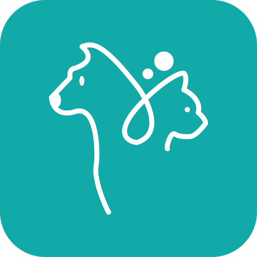 云宇猫狗翻译器app