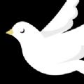 雪鸽APP