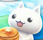 可爱猫眯吃面条