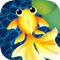 金鱼快讯APP