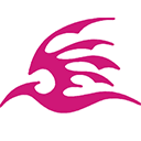 飞极速电视剧大全